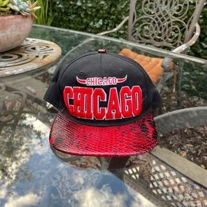 Chicago Bull snap back